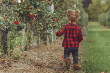 Fruit Picking for Kids in Ontario California