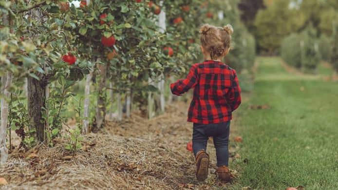 Fruit Picking for Kids in Ontario California