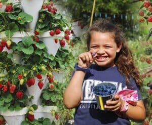 Fruit Picking for Kids in Pearland Texas