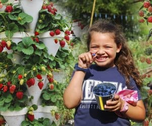 Fruit Picking for Kids in Pearland Texas