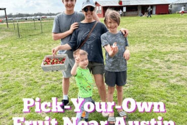 Fruit Picking for Kids in Pflugerville Texas