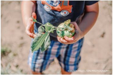 Fruit Picking for Kids in Pleasanton California