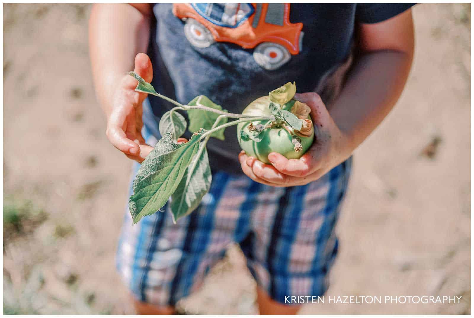 Fruit Picking for Kids in Pleasanton California