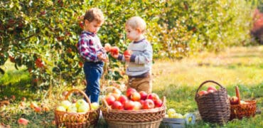 Fruit Picking for Kids in Richardson Texas