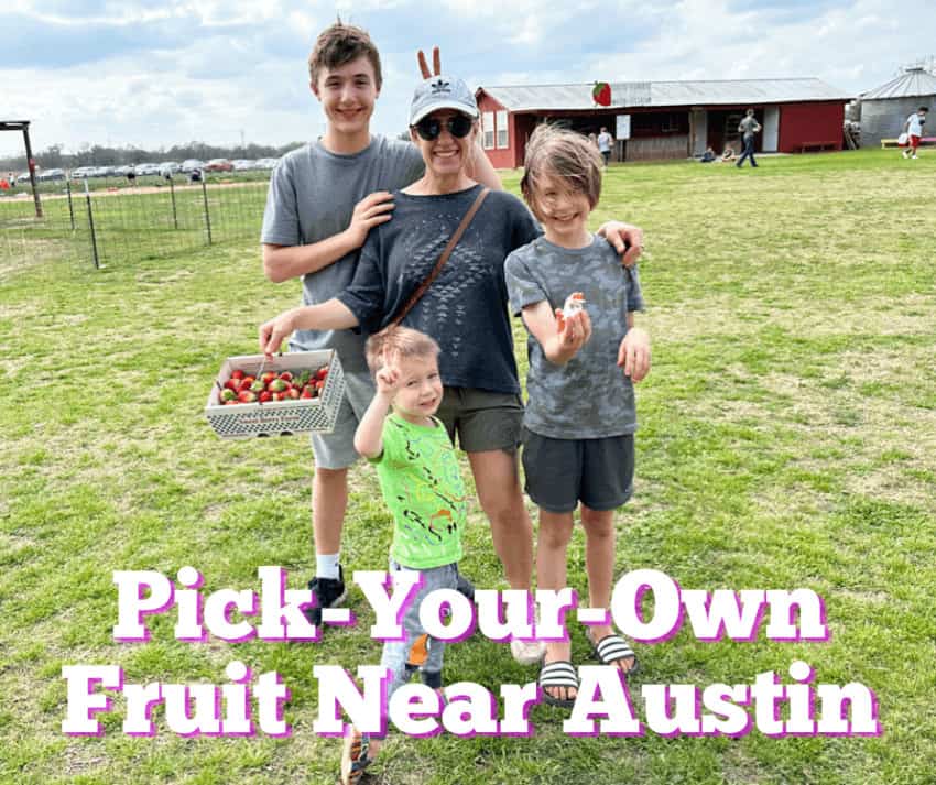 Fruit Picking for Kids in Round Rock Texas