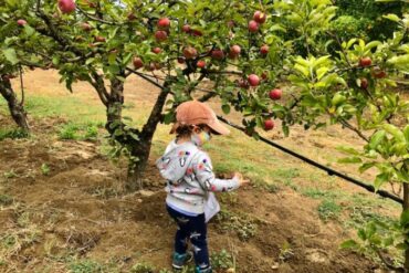 Fruit Picking for Kids in San Jose California