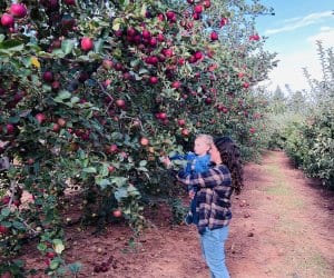 Fruit Picking for Kids in San Mateo California