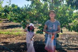 Fruit Picking for Kids in San Ramon California