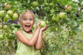 Fruit Picking for Kids in Santa Rosa California