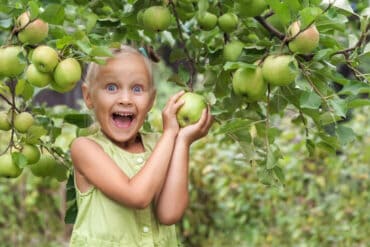 Fruit Picking for Kids in Santa Rosa California