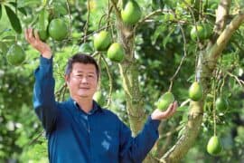 Fruit Picking for Kids in Sengkang