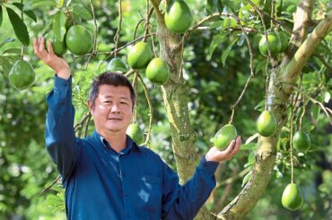 Fruit Picking for Kids in Sengkang