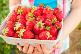 Fruit Picking for Kids in Shawnee Kansas