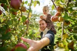 Fruit Picking for Kids in Toa Payoh