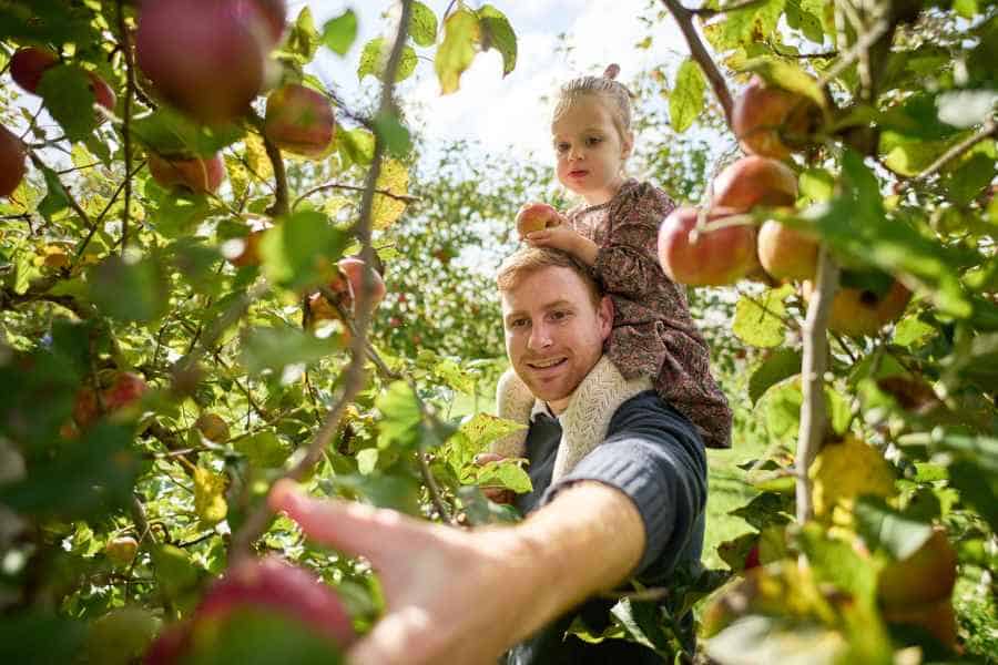 Fruit Picking for Kids in Toa Payoh