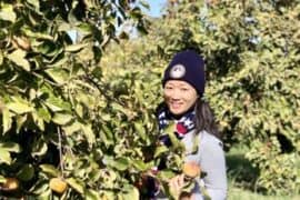 Fruit Picking for Kids in Vacaville California