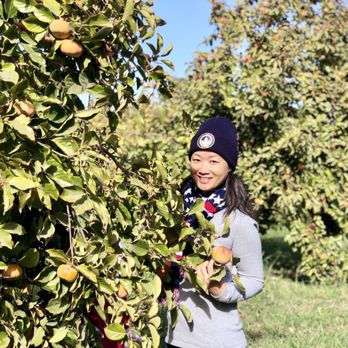 Fruit Picking for Kids in Vacaville California