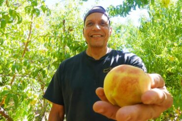 Fruit Picking for Kids in Victorville California