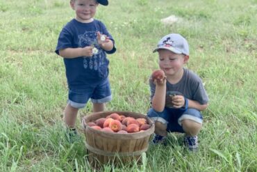 Fruit Picking for Kids in Wichita Falls Texas