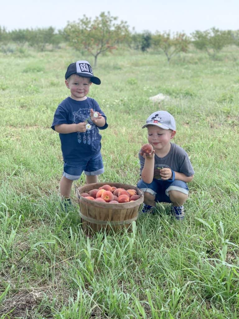 Fruit Picking for Kids in Wichita Falls Texas