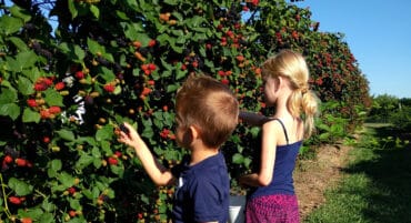 Fruit Picking for Kids in Wichita Kansas