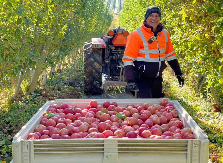 Fruit Picking for Kids in Yakima Washington