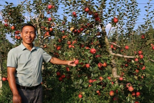 Fruit Picking for Kids in Yishun