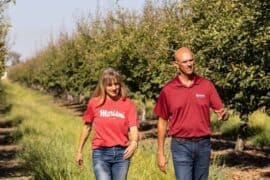 Fruit Picking for Kids in Yuba City California