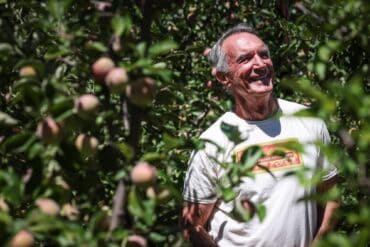 Fruit Picking in Apple Valley California