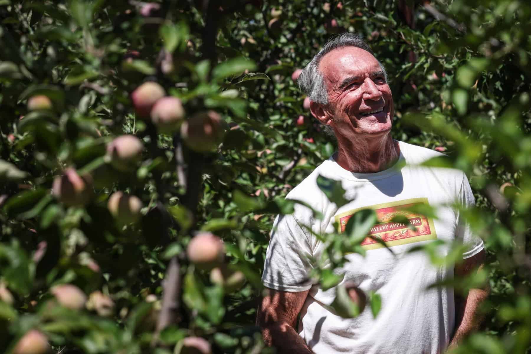 Fruit Picking in Apple Valley  California