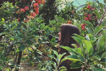 Fruit Picking in Carrollton Texas