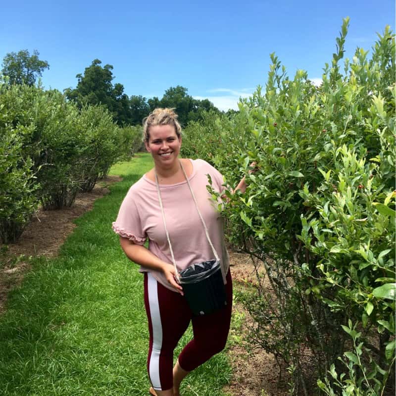 Fruit Picking in Corpus Christi Texas