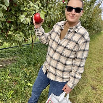 Fruit Picking in Everett Washington