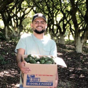 Fruit Picking in Hesperia California