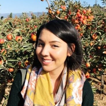 Fruit Picking in Mountain View California