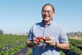 Fruit Picking in Oceanside California