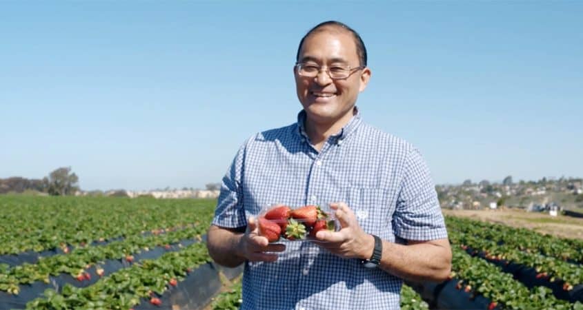 Fruit Picking in Oceanside California