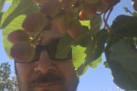 Fruit Picking in Palmdale California