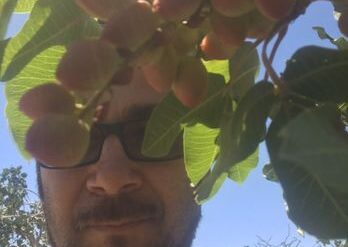 Fruit Picking in Palmdale California