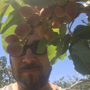 Fruit Picking in Palmdale California