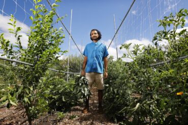 Fruit Picking in Pomona California