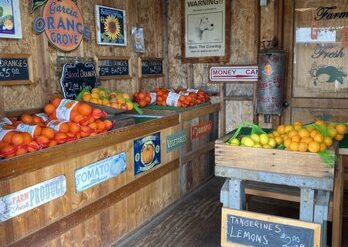 Fruit Picking in Redlands California