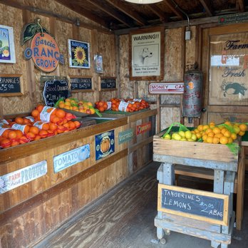 Fruit Picking in Redlands California