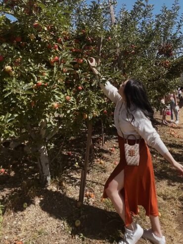 Fruit Picking in San Bernardino California