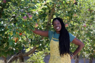 Fruit Picking in Santa Rosa California