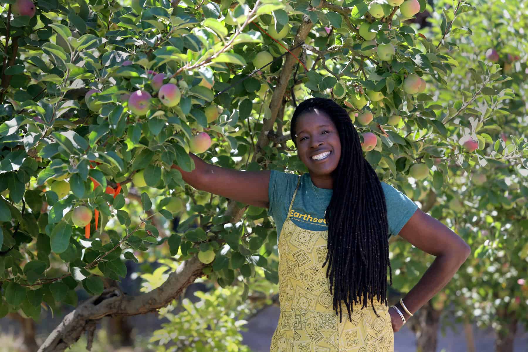 Fruit Picking in Santa Rosa California