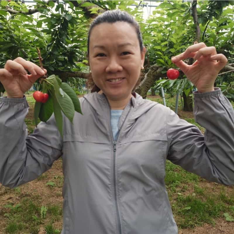 Fruit Picking in Sengkang