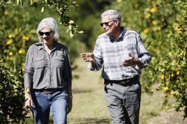 Fruit Picking in South Fulton Georgia