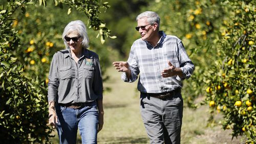 Fruit Picking in South Fulton Georgia