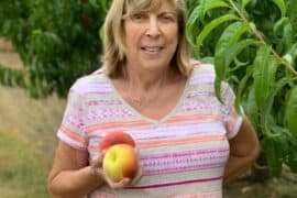 Fruit Picking in Spokane Valley Washington